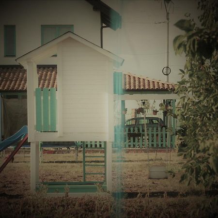 Fragaria Hotel Zimandcuz Exterior photo